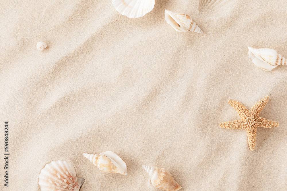 Top view of a sandy beach with exotic seashells and starfish as natural textured background for aesthetic summer design - obrazy, fototapety, plakaty 