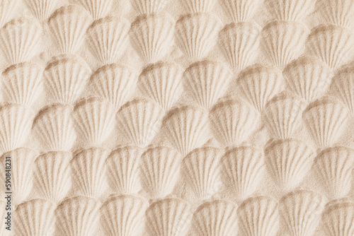 Top view of a sandy texture with imprints of mollusks as natural textured background