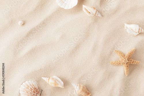 Canvastavla Top view of a sandy beach with exotic seashells and starfish as natural textured