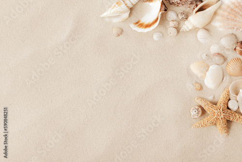 Fototapeta Naklejka Na Ścianę i Meble -  Top view of a sandy beach with collection of seashells and starfish as natural textured background for aesthetic summer design