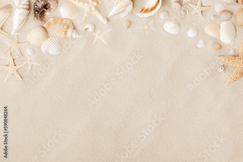 Canvas Print Sandy beach with collections of white and beige seashells and starfish as natura