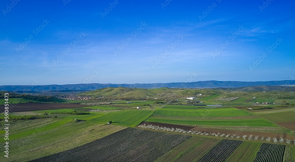 Planted green field in early spring with clear horizon and countryside aerial view Planted green field in early spring with clear horizon and countryside aerial view