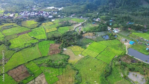 Wallpaper Mural Aerial footage of a small forest that is encircled by fields Torontodigital.ca
