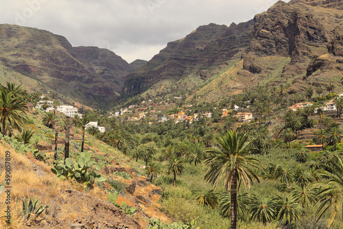 Palm grove of Valle de Gran Rey on the island of La Gomera. One of the largest palm groves in the Canary Islands photo