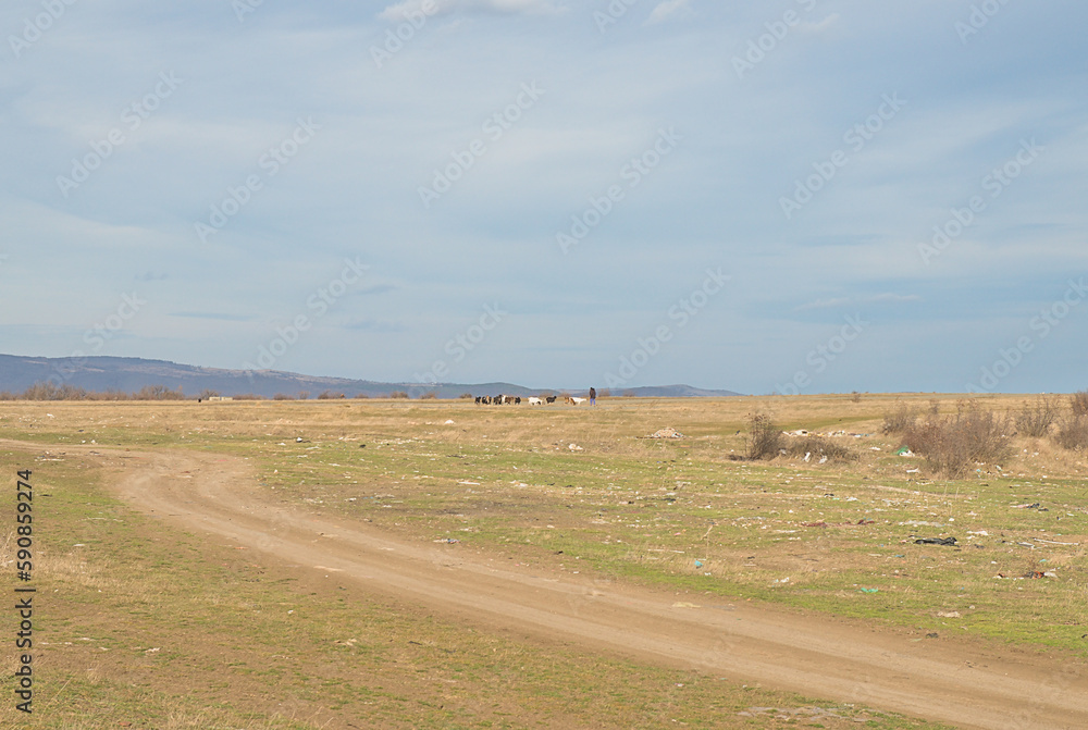 Plastic garbage scattered by people and wind throughout the steppe in nature along a dirt road. Human pollution concept
