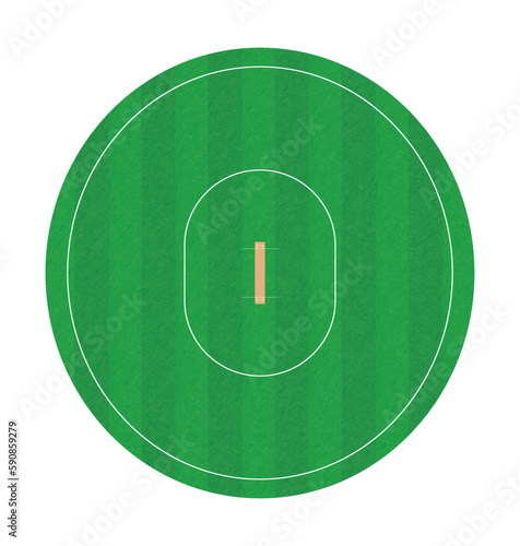 Cricket Pitch and Ground Top View