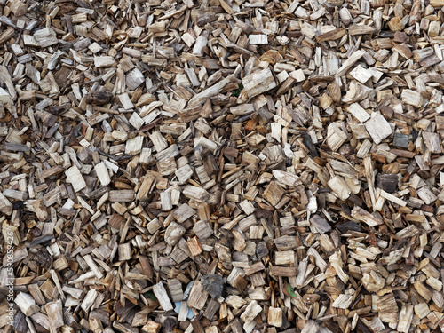 View of a mulching cover of small dry wood chips, used to preserve soil moisture, limit weed growth, and protecting roots from cold in winter and heat in summer.