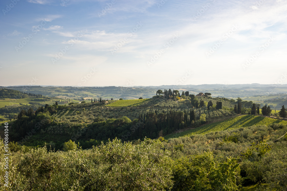 Paesaggio toscano Paesaggio toscano