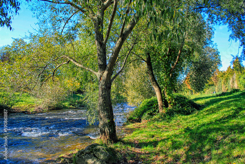 Dreisam River in Freiburg