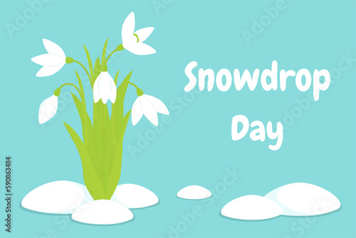 Vector illustration. Postcard to the day of the snowdrop