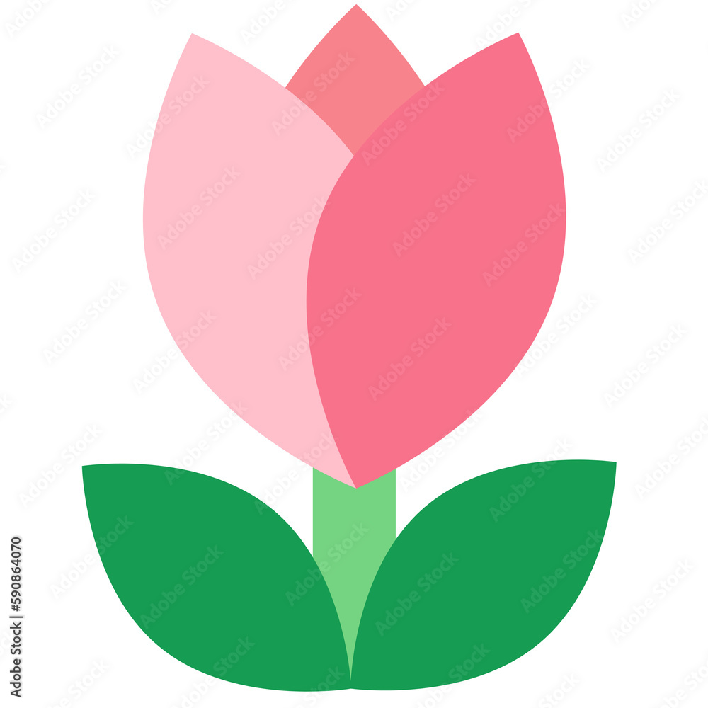 Tulip (pink) Tulip (pink)