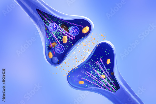 Cross section of a synapse or neuron in the process of connection and signal transmission. Concept of anatomy of a synapse cells. 3d rendering photo