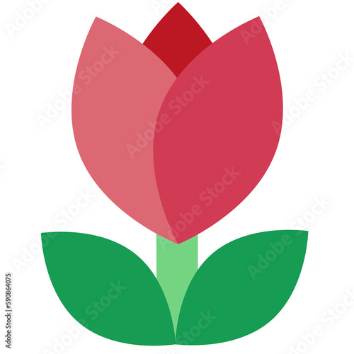 Tulip (red)