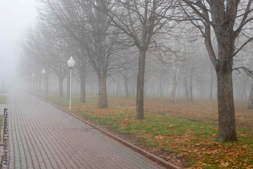 Fog landscape in park with walking path and trees in autumn rainy day Fog landscape in park with walking path and trees in autumn rainy day