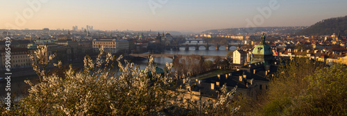 Panoramic view to the vlatana river with historical bridges in Prague in spring.