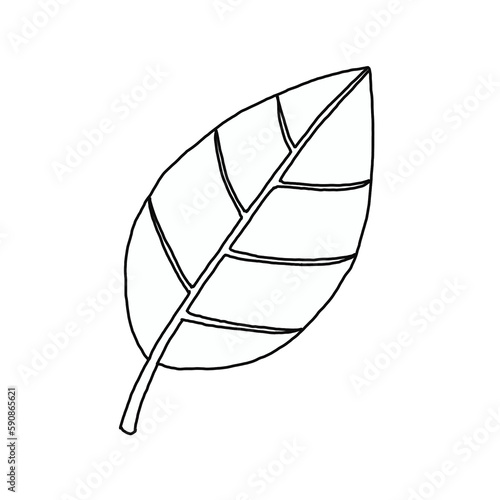 Minimal Leaf