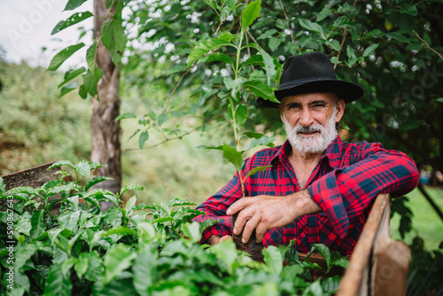 Portrait of Brazilian farmer man in the casual shirt in the farm analyzing coffee seedlings.