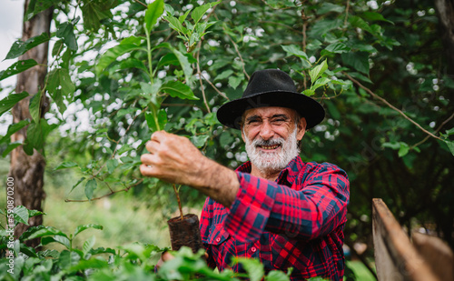 Portrait of Brazilian farmer man in the casual shirt in the farm analyzing coffee seedlings.