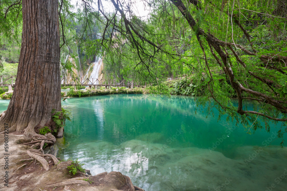 Fototapeta premium Waterfall in Mexico