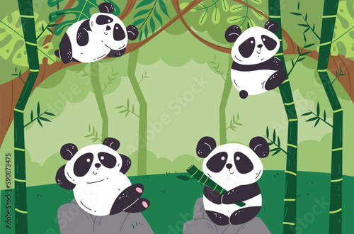 Bamboo panda forest tree jungle background concept. Vector graphic design illustration