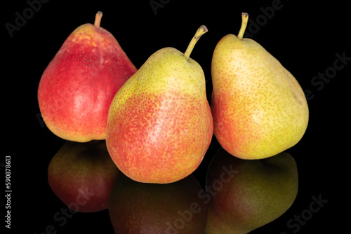 Three juicy pears, close-up, on a black background.