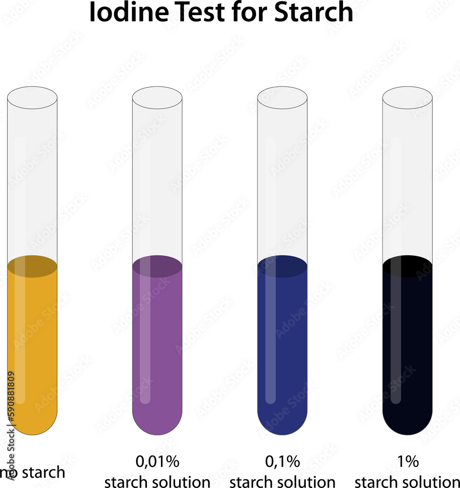 Iodine Test for Starch Iodine Test for Starch