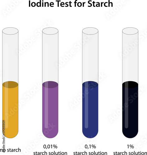Iodine Test for Starch 