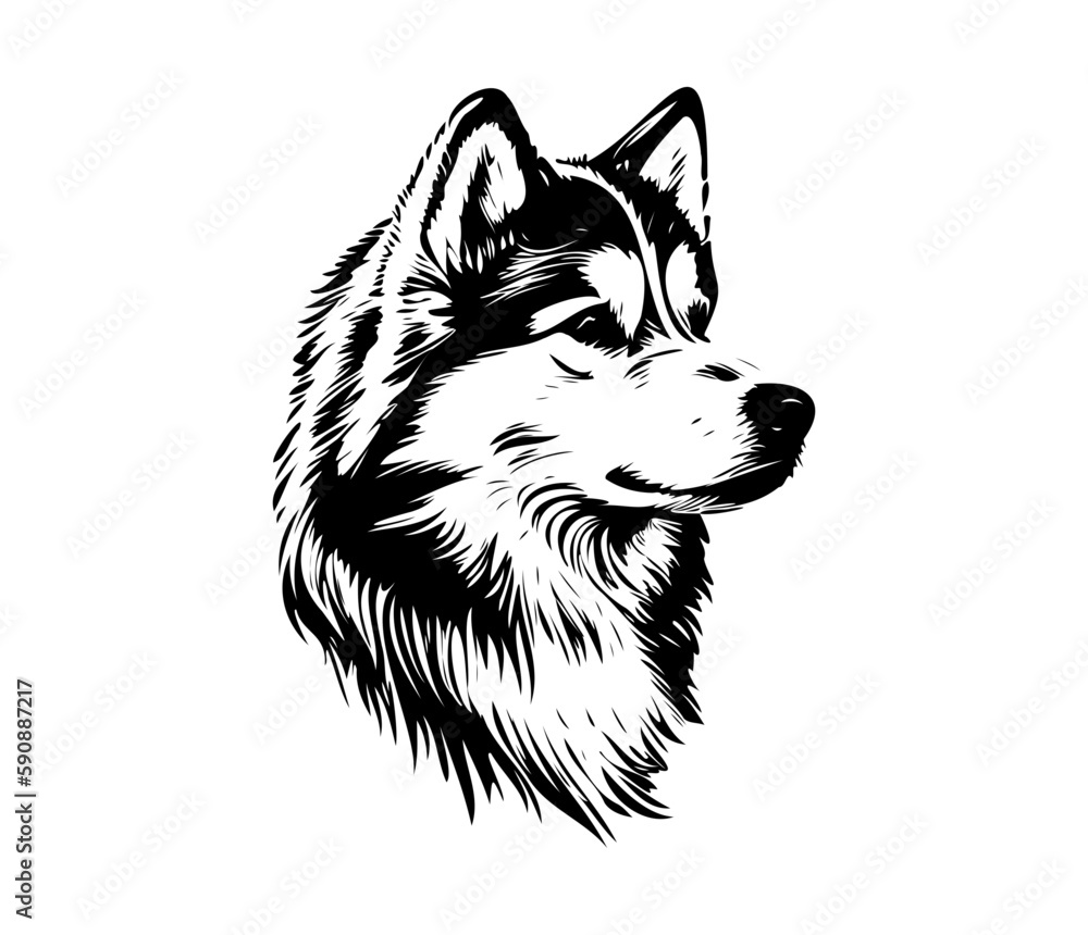 Alaskan Malamute, Silhouettes Dog Face SVG, black and white Alaskan Malamute vector