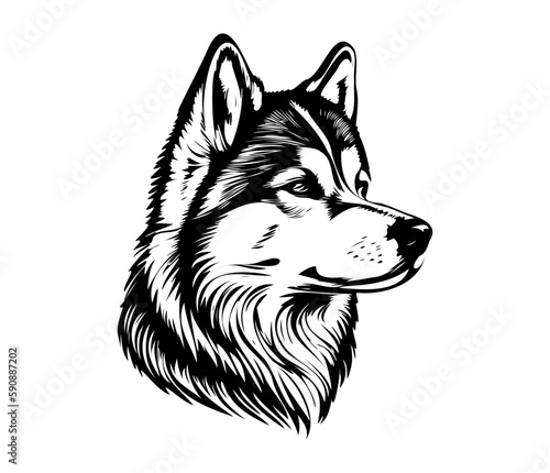 Alaskan Malamute, Silhouettes Dog Face SVG, black and white Alaskan Malamute vector