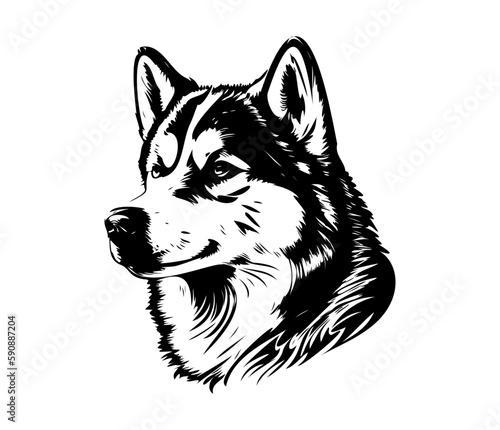 Alaskan Malamute, Silhouettes Dog Face SVG, black and white Alaskan Malamute vector