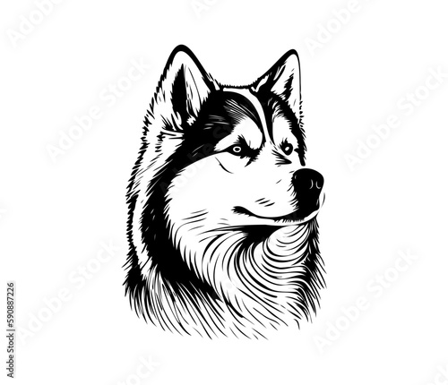 Alaskan Malamute, Silhouettes Dog Face SVG, black and white Alaskan Malamute vector
