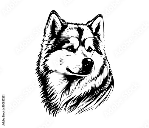 Alaskan Malamute, Silhouettes Dog Face SVG, black and white Alaskan Malamute vector