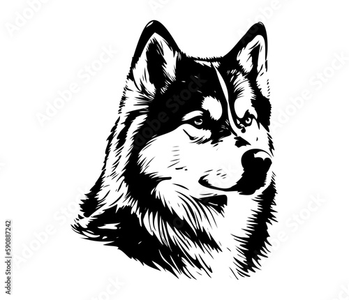 Alaskan Malamute, Silhouettes Dog Face SVG, black and white Alaskan Malamute vector