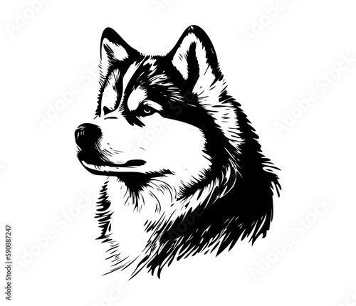 Alaskan Malamute, Silhouettes Dog Face SVG, black and white Alaskan Malamute vector