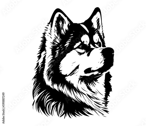 Alaskan Malamute, Silhouettes Dog Face SVG, black and white Alaskan Malamute vector