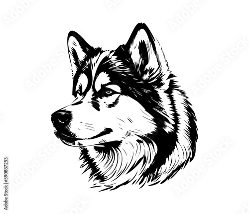 Alaskan Malamute, Silhouettes Dog Face SVG, black and white Alaskan Malamute vector