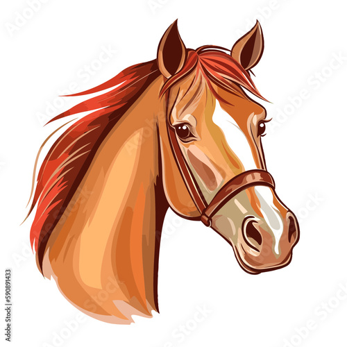 Wild horse head vector illustration
