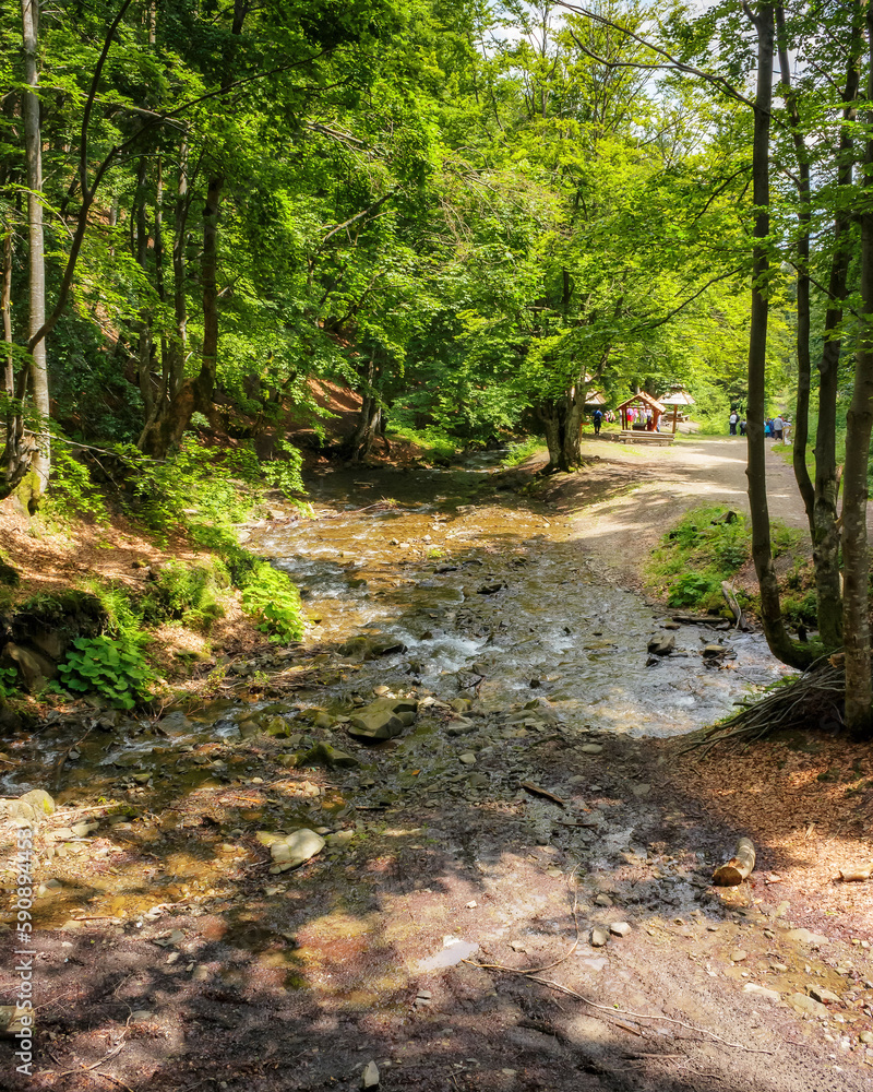 brook in the woods. outdoor nature scenery. sunny weather brook in the woods. outdoor nature scenery. sunny weather