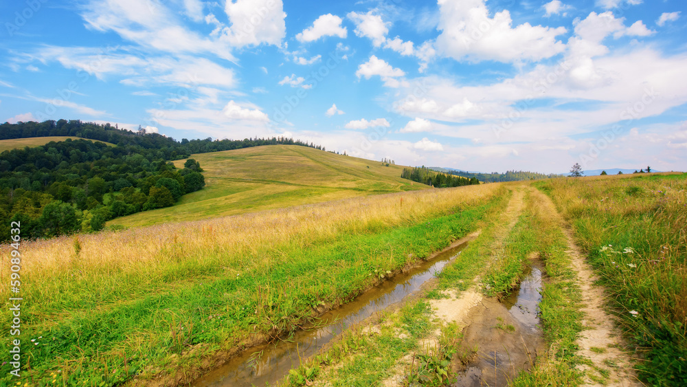 rural road through green meadows on rolling hills. hiking through carpathian rural area. mountain landscape in summer on a sunny day. ridge in the distance rural road through green meadows on rolling hills. hiking through carpathian rural area. mountain landscape in summer on a sunny day. ridge in the distance