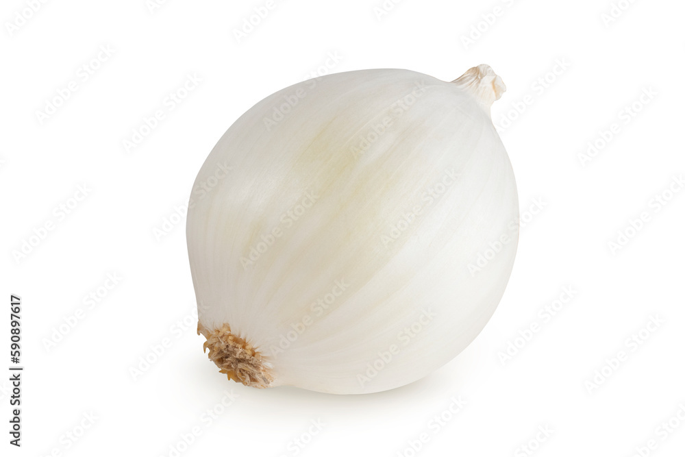 Fototapeta premium White onion on an isolated white background