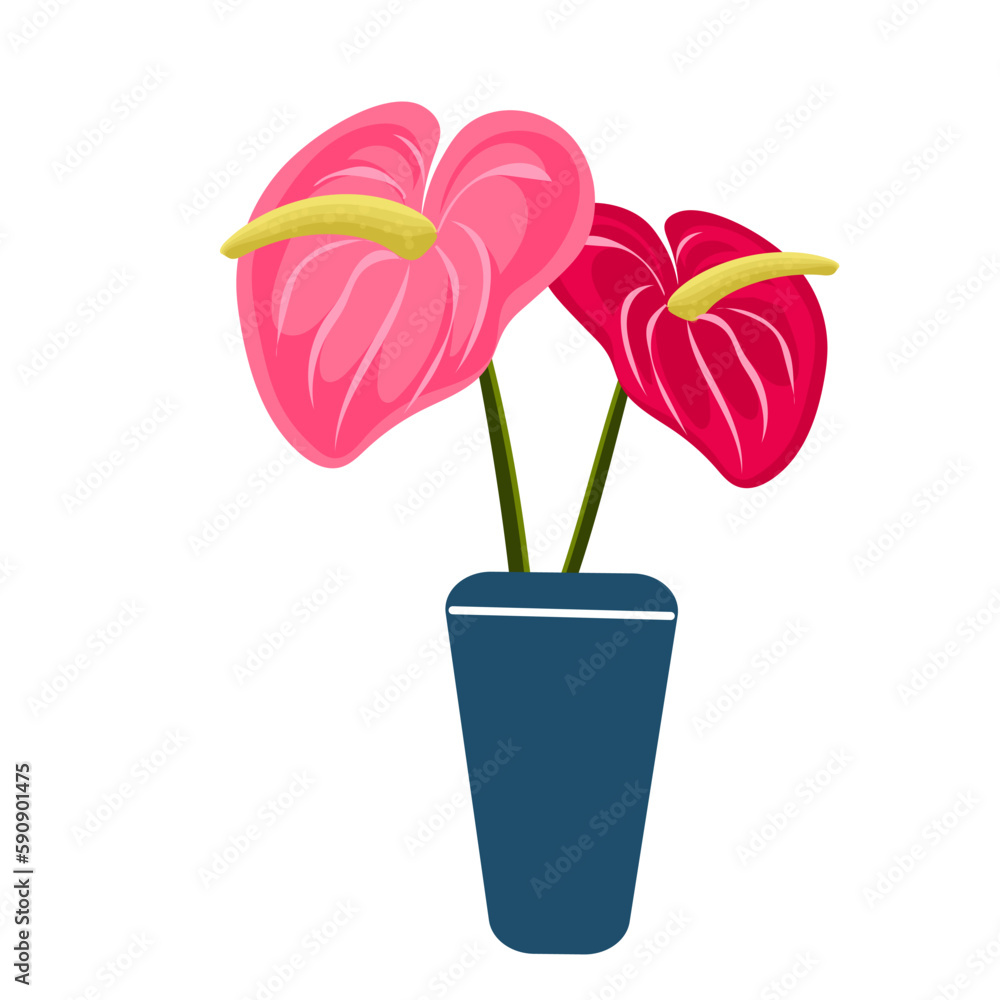 plant plant