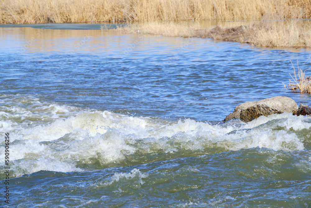 Fototapeta premium Stormy river flow of water against background of reeds.
