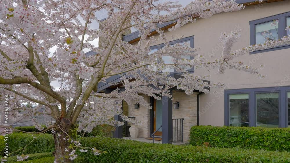 Establishing shot of two story stucco luxury house with garage door, big tree and nice spring blossom landscape in Vancouver, Canada, North America. Day time on Apr 2023. ProRes 422 HQ. Establishing shot of two story stucco luxury house with garage door, big tree and nice spring blossom landscape in Vancouver, Canada, North America. Day time on Apr 2023. ProRes 422 HQ.