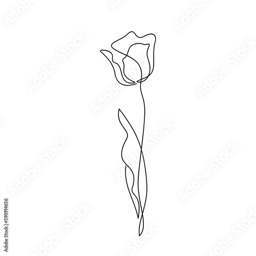 Vector tulip flower icon contour silhouette isolated. One line continuous drawing. Linear illustration. Floral design, print, beauty branding, card, poster. Minimal contemporary drawing. #590914656