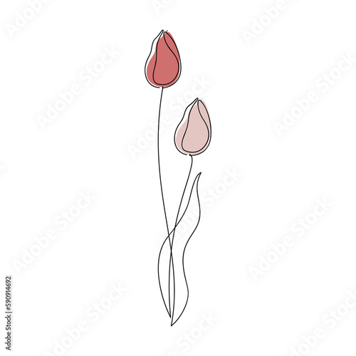 Outline tulip flower icon vector. One line continuous drawing. Contour silhouette isolated. Linear illustration. Floral design, print, beauty branding, card, poster. Minimal contemporary drawing.