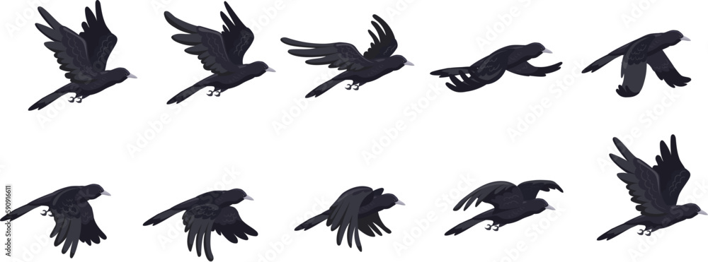 Crow flying animation. Animated fly raven bird sequence cycle, halloween enemies 2d game cartoon crows hovering in sky black birds gothic character sprite sheet vector illustration Crow flying animation. Animated fly raven bird sequence cycle, halloween enemies 2d game cartoon crows hovering in sky black birds gothic character sprite sheet vector illustration