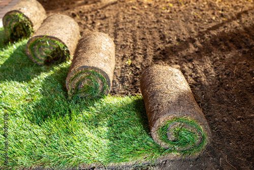 Stack of turf grass for lawn. roll of sod, turf grass roll.