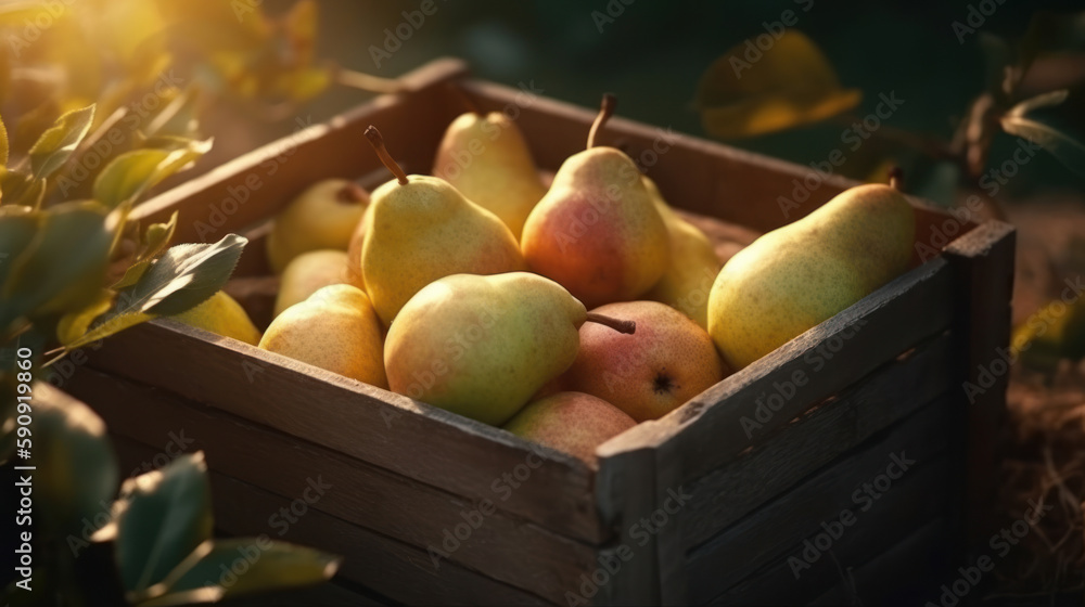 beautiful and juicy yellow pears in a box under a garden tree in the early morning. Created by AI. beautiful and juicy yellow pears in a box under a garden tree in the early morning. Created by AI.