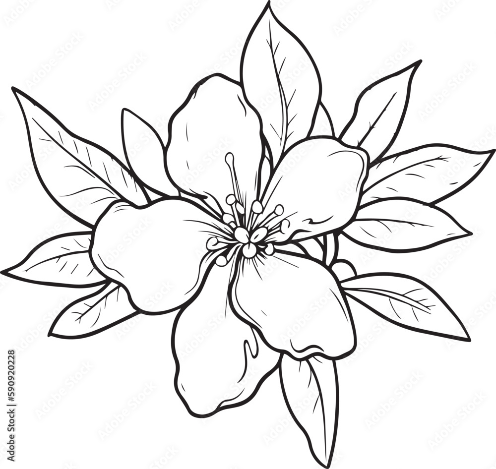 Jasmine flower silhouette vector illustration , SVG Jasmine flower silhouette vector illustration , SVG
