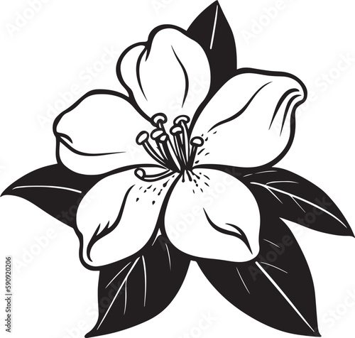 Jasmine flower silhouette vector illustration , SVG